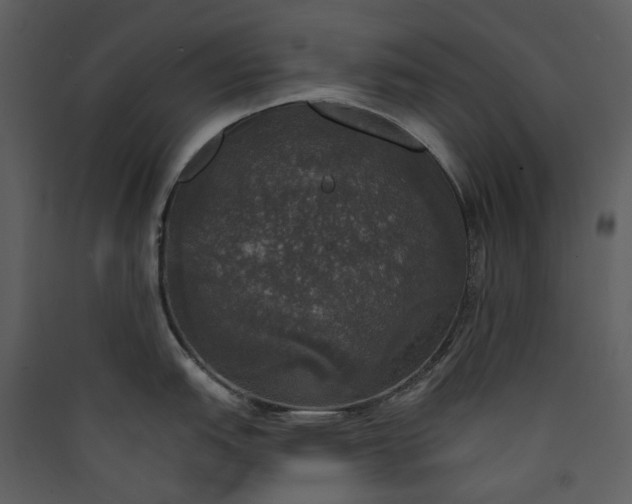 X0000089961151200707131532