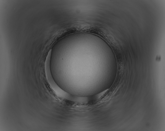 X0000089961153200707131531