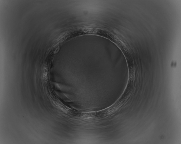 X0000089961154200707131531