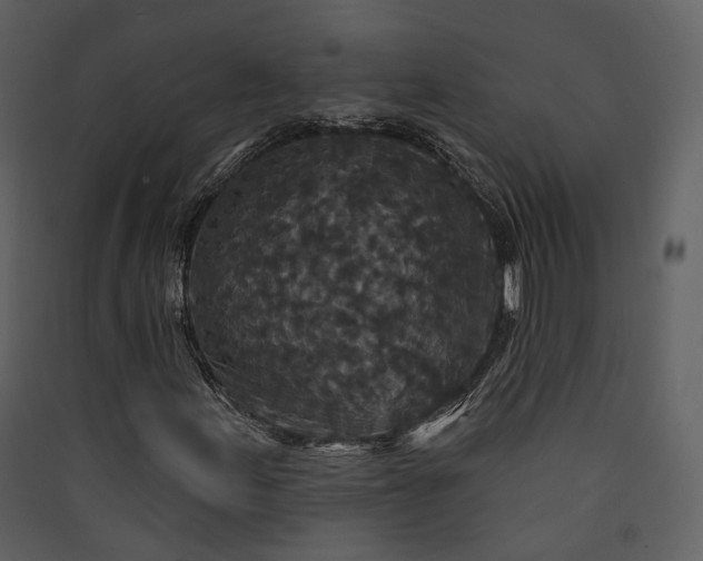 X0000089961155200707131531
