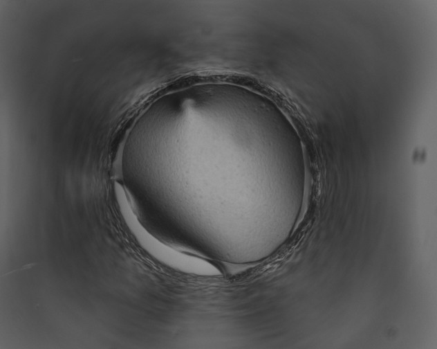 X0000089961157200707131531