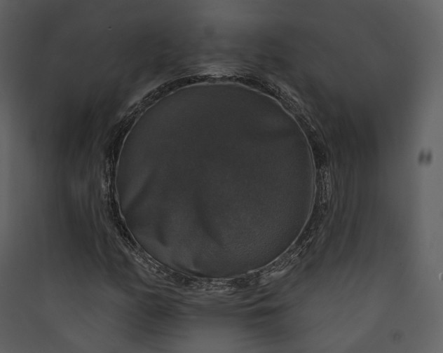 X0000089961158200707131531