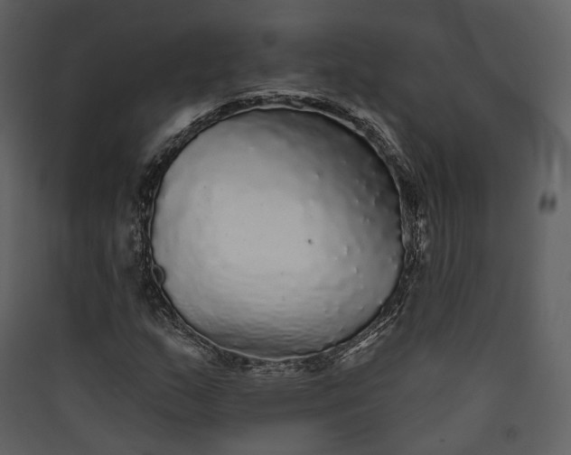 X0000089961159200707131531