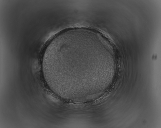 X0000089961160200707131531