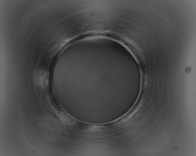 X0000089961161200707131531