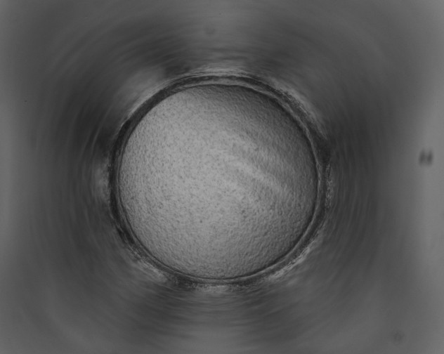X0000089961162200707131531