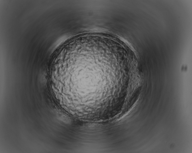X0000089961163200707131531