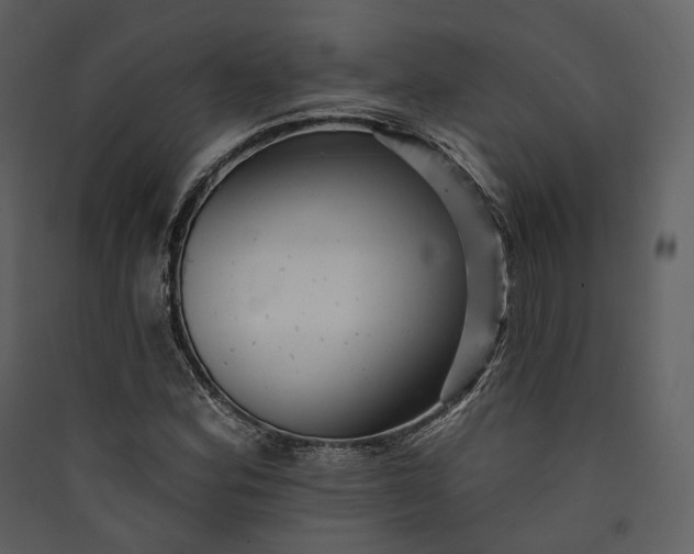 X0000089961164200707131531