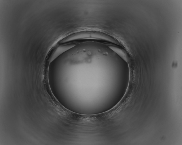 X0000089961165200707131531