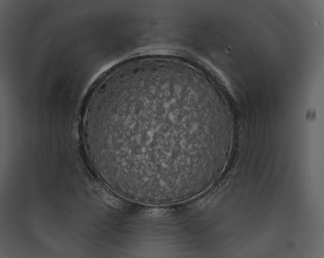 X0000089961166200707131531