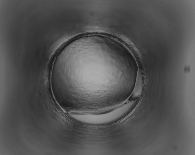 X0000089961167200707131531