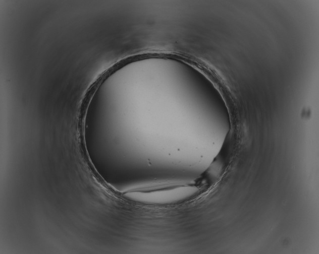 X0000089961168200707131531