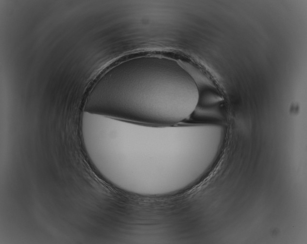 X0000089961169200707131531