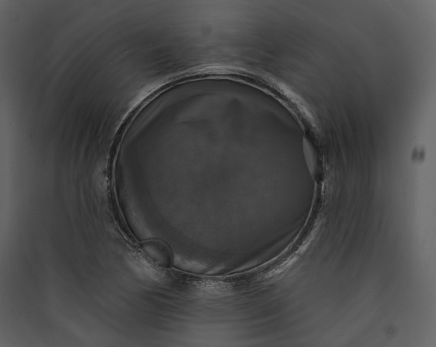 X0000089961170200707131531