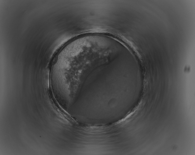 X0000089961171200707131531