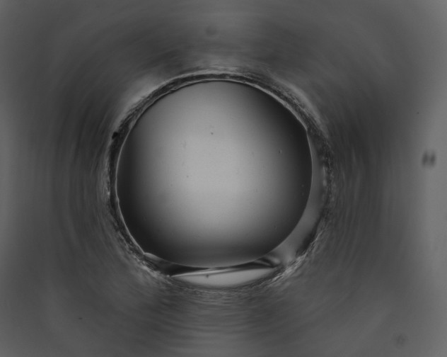 X0000089961172200707131531