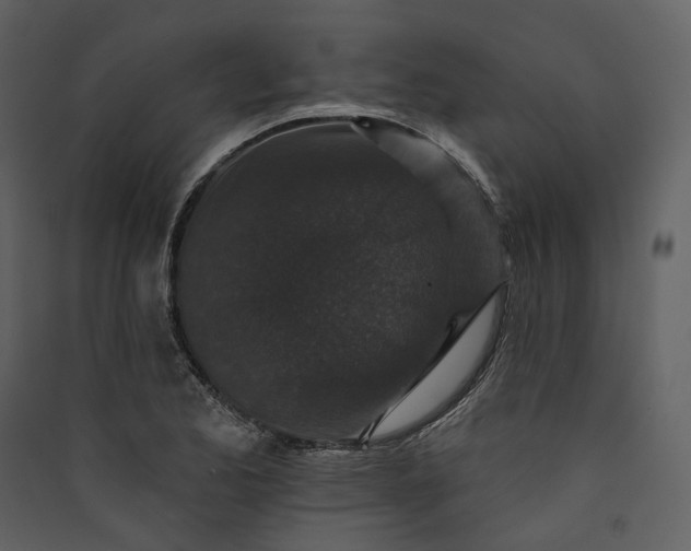 X0000089961173200707131531