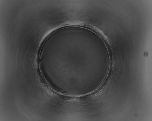 X0000089961174200707131531