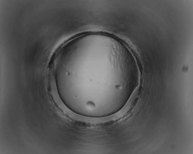 X0000089961175200707131531