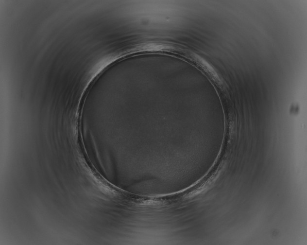 X0000089961178200707131531