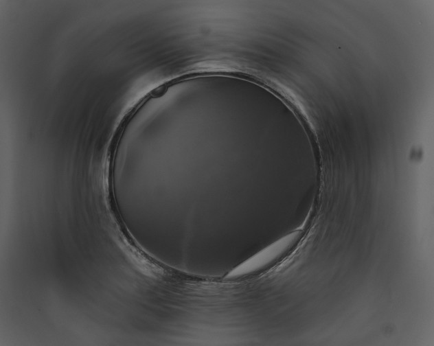X0000089961179200707131531