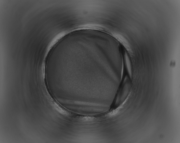 X0000089961180200707131531