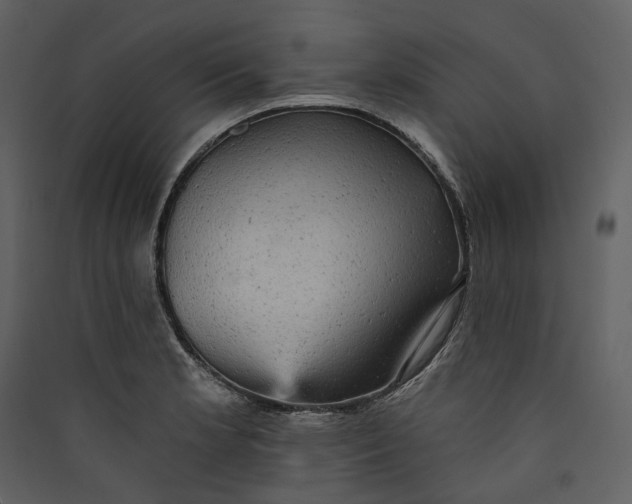 X0000089961181200707131531