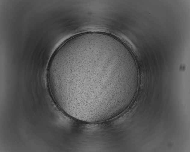 X0000089961182200707131531