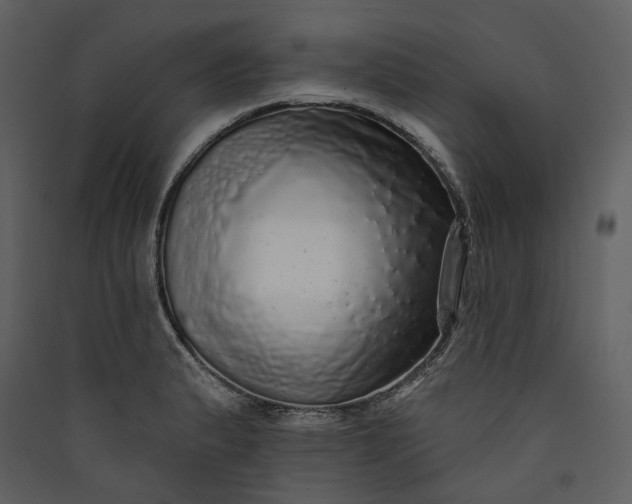 X0000089961183200707131531