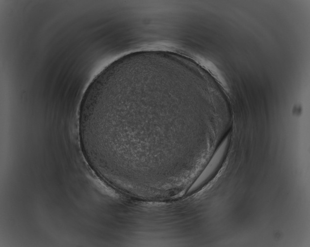 X0000089961184200707131531