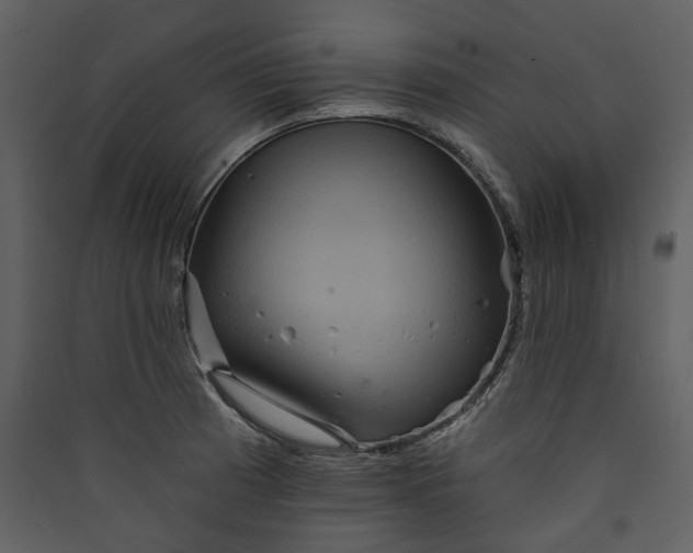 X0000089961185200707131531