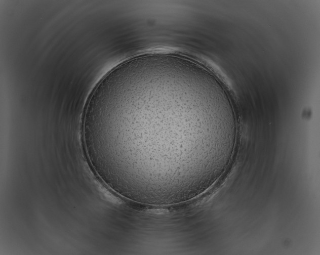 X0000089961186200707131531