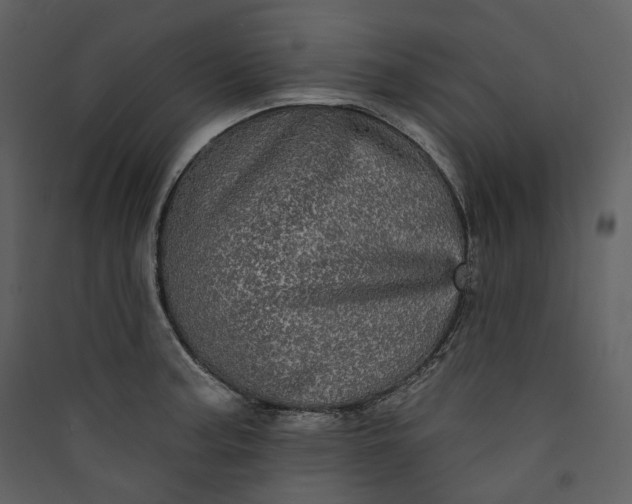 X0000089961187200707131531