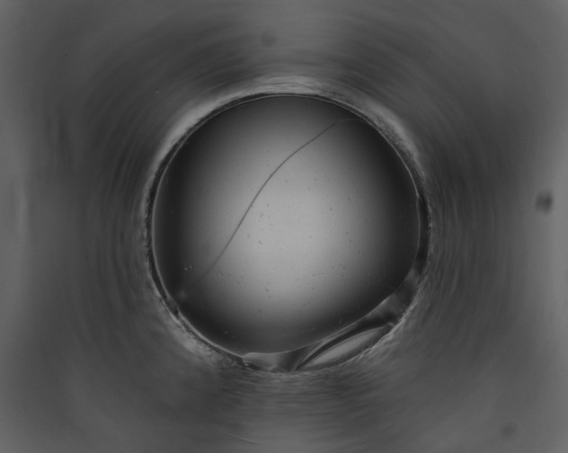 X0000089961192200707131530