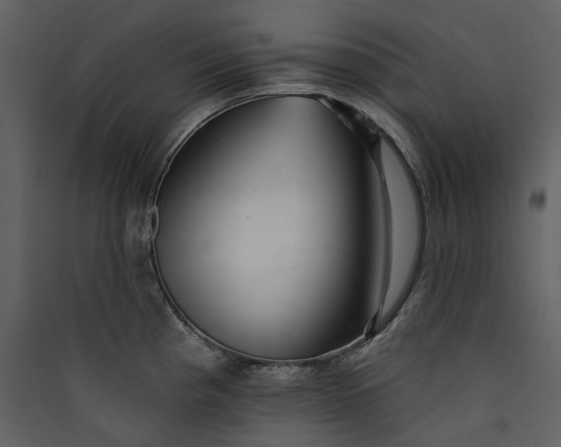 X0000089961193200707131530