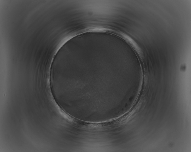 X0000089961194200707131530