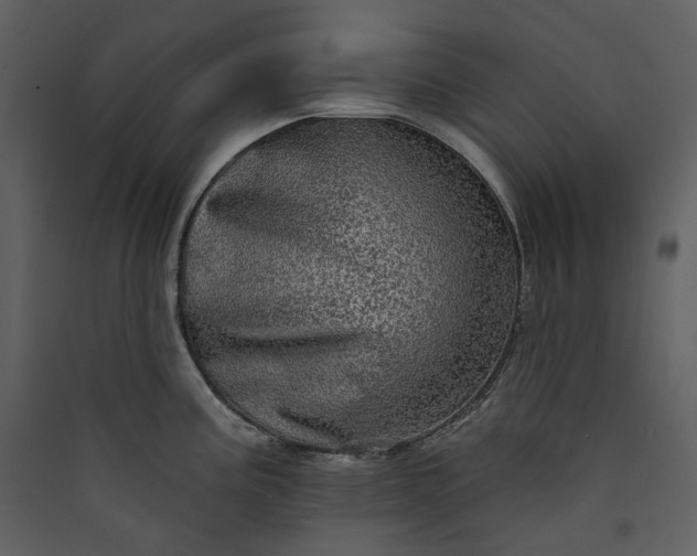 X0000089961195200707131530
