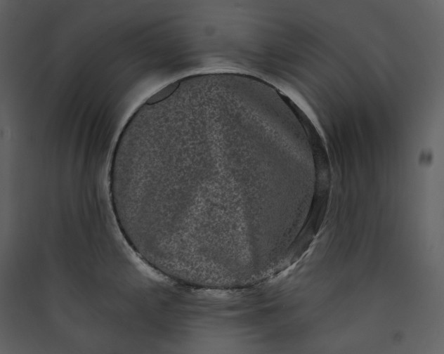X0000089961197200707131530