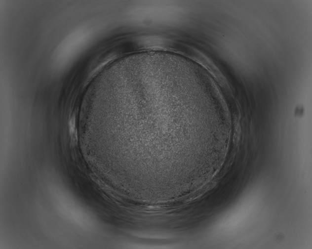 X0000089961198200707131530
