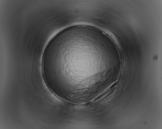 X0000089961199200707131530