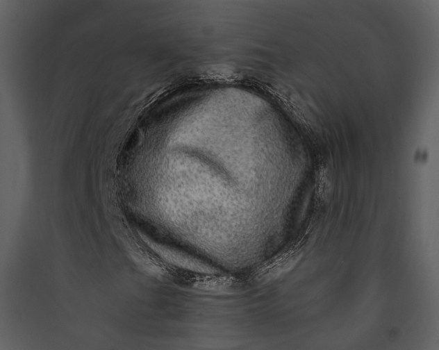 X0000089961201200707131530