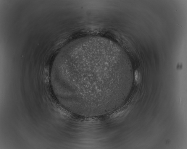X0000089961203200707131530