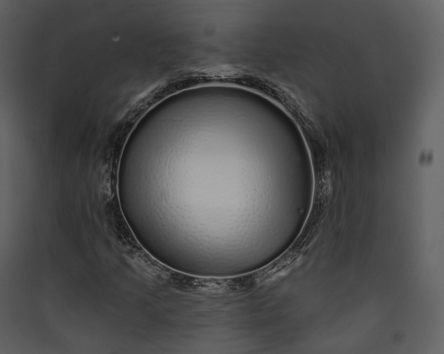 X0000089961205200707131530