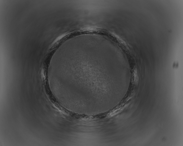 X0000089961206200707131530