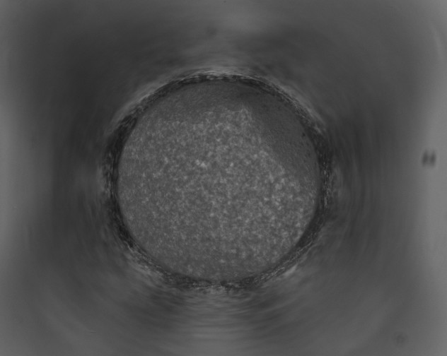X0000089961207200707131530