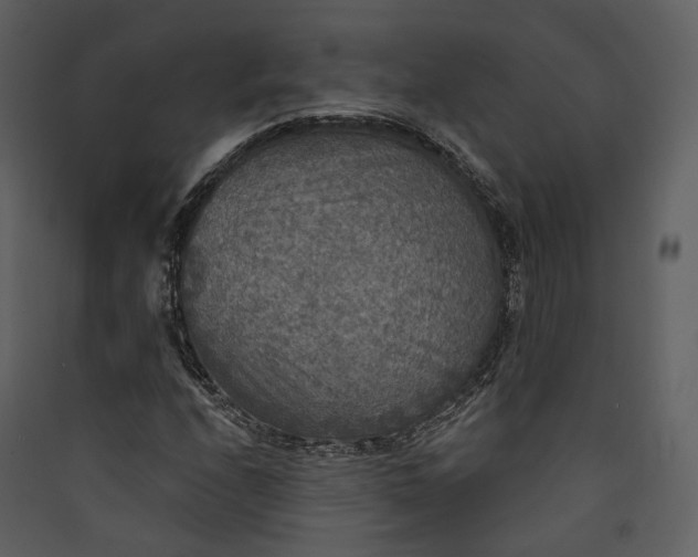 X0000089961208200707131530