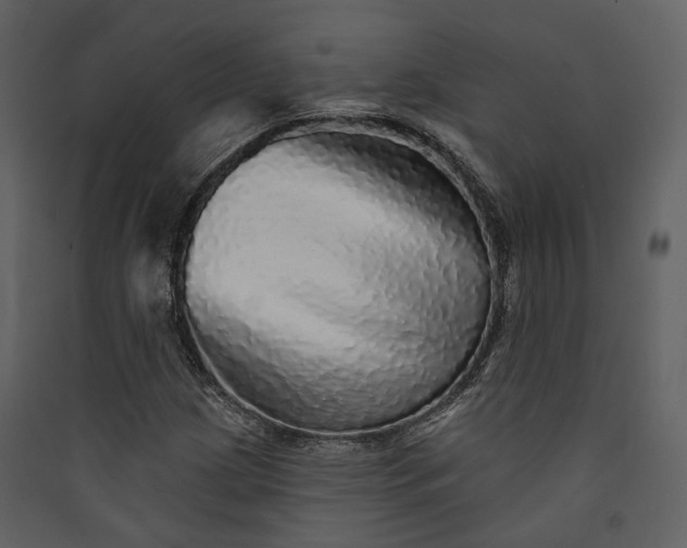 X0000089961209200707131530
