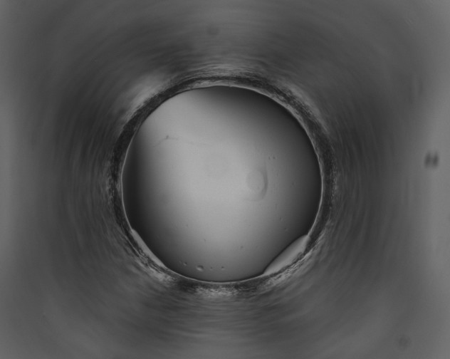 X0000089961210200707131530