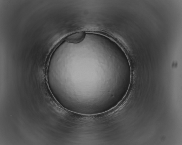 X0000089961212200707131530