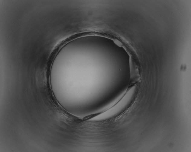 X0000089961214200707131530